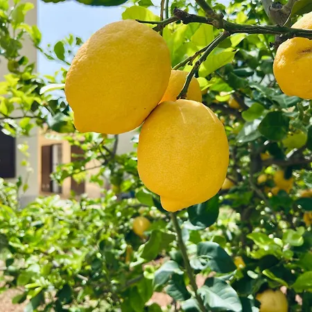 L'angolo Del Saraceno
